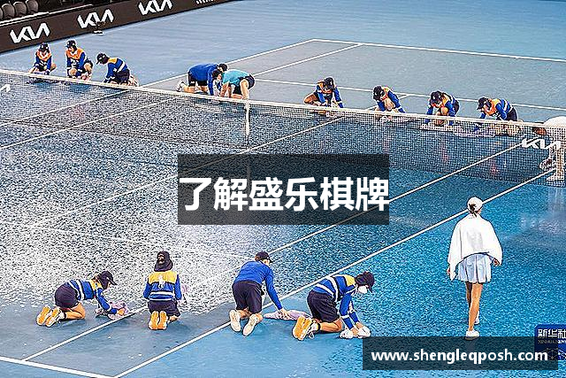 了解盛乐棋牌